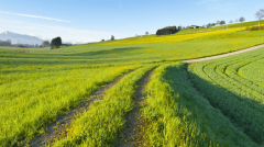 绿动将来共建生态农业梦农业网引领行业