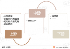 2022年中国酵素行业定义、分合作现状阐发