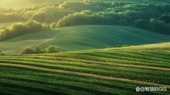 农业景不雅设想：美学取生态价值的双沉