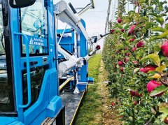 锚定扶植农业强国方针 加速实现高程度农