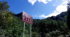 从“一株苗”到“一条链”宝兴中药材财