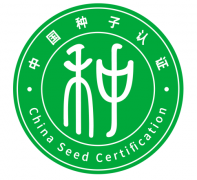 好种子带“证明” 我国首批认证种子上市