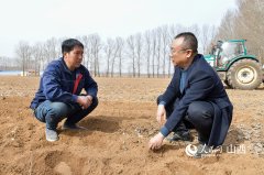 山西长治:“望天田”播下“稳产粮”
